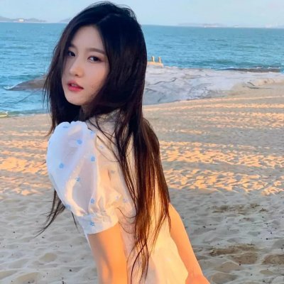 沉默的伙伴